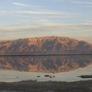 Protégeons la nature sauvons votre avenir