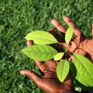 Protéger l’environnement